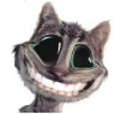 [gimudi.com.br]